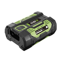 EGO ADB1000 Accu Adapter, officieel weergegeven als model ADB1000